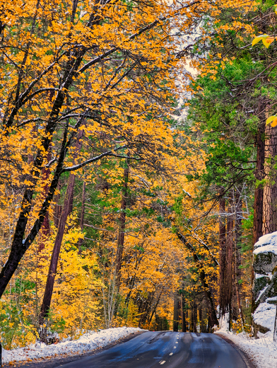Yosemite National Park