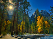 Yosemite national Park