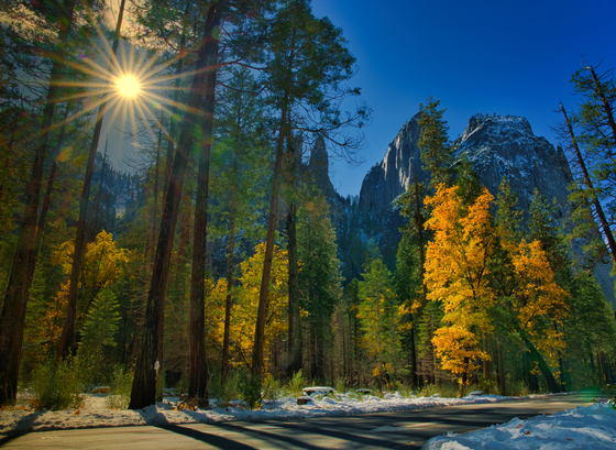 Yosemite national Park