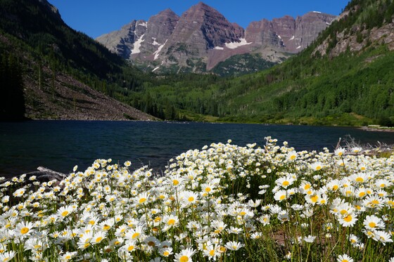 Maroon Bells Scenic Area, White River National Forest