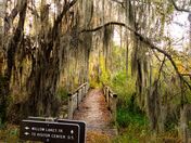 Santa Ana National Wildlife Refuge 