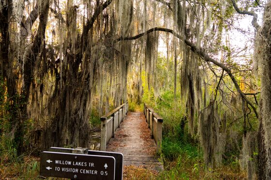 Santa Ana National Wildlife Refuge 