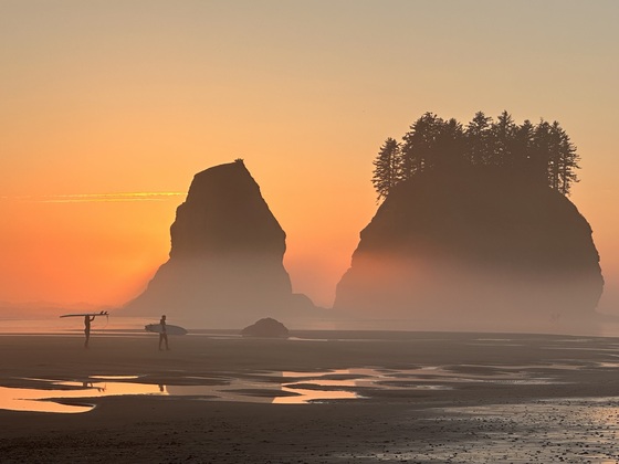 Olympic National Park