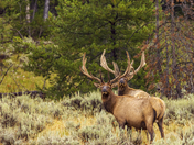 Grand Teton National Park