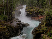 Mount Rainier National Park