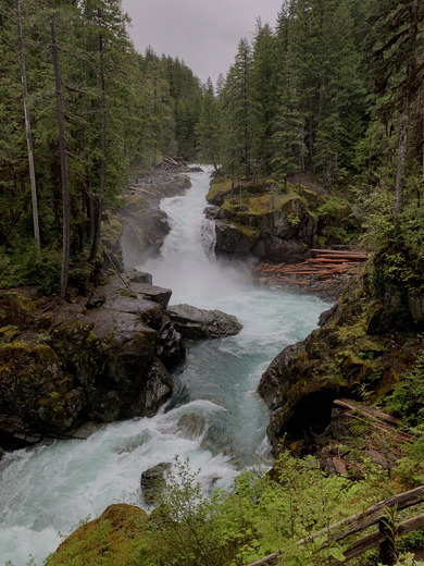 Mount Rainier National Park