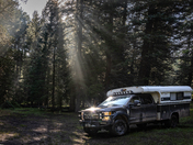 Coconino National Forest
