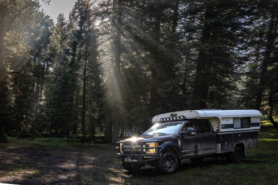 Coconino National Forest