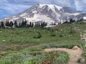 Mount Rainier National Park