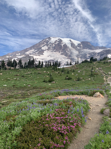 Mount Rainier National Park