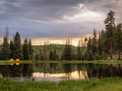 Apache-Sitgreaves National Forest