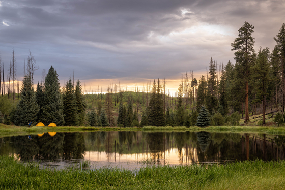 Apache-Sitgreaves National Forest