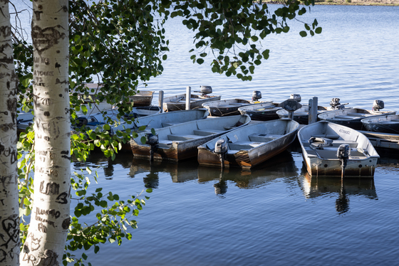 Big Lake Recreation Area
