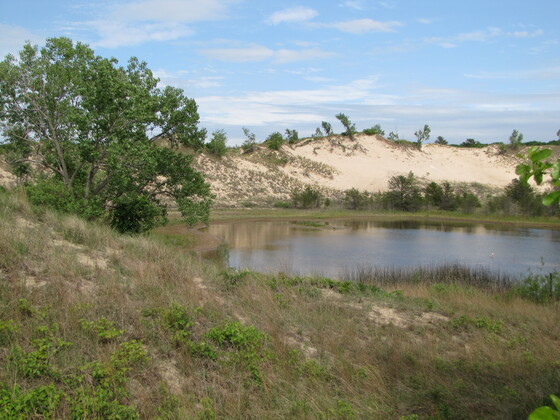 Gateway Arch National Park, Indiana Dunes, NP