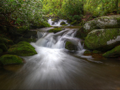 Great Smoky Mountains National Park
