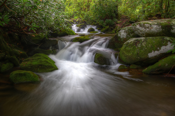 Great Smoky Mountains National Park