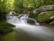 Great Smoky Mountains National Park