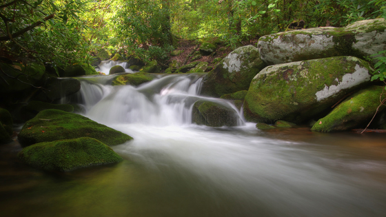 Great Smoky Mountains National Park