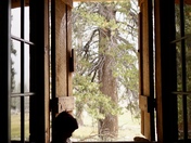 Yosemite National Park