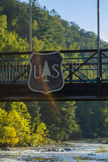 Cherokee National Forest 
