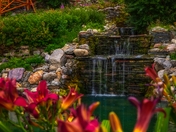 Flowers In A Banff Garden