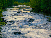 Cherokee National Forest 