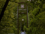 Cherokee National Forest