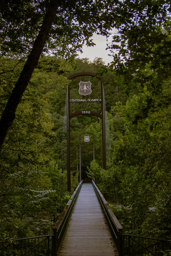 Cherokee National Forest