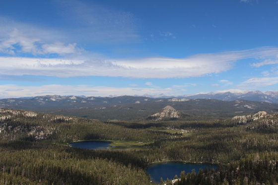 Sierra National Forest