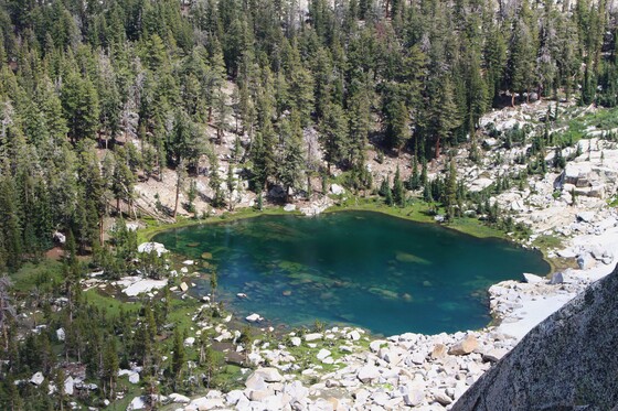 Sierra National Forest