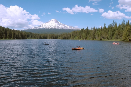 Mount Hood National Forest 