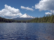 Mount Hood National Forest 
