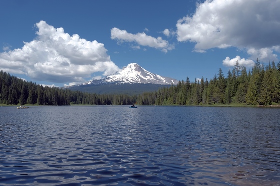 Mount Hood National Forest 