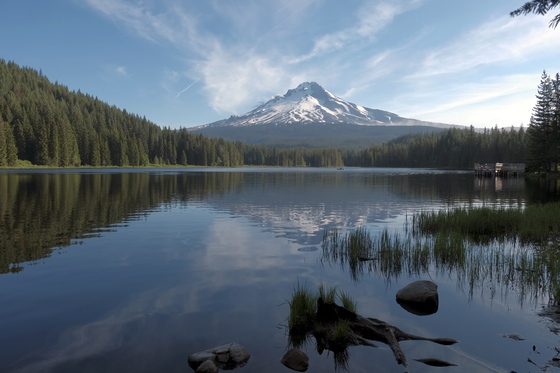 Mount Hood National Forest 