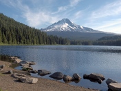 Mount Hood National Forest 