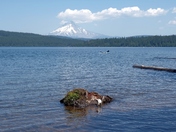 Mount Hood National Forest 