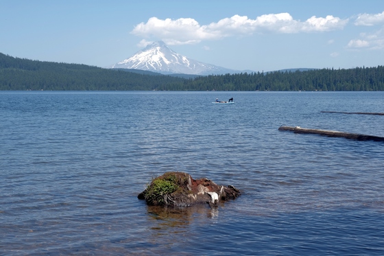 Mount Hood National Forest 