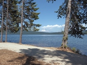 Mount Hood National Forest 