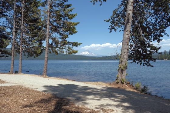 Mount Hood National Forest 