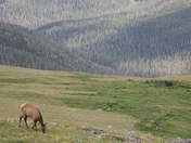 Rocky Mountain National Park
