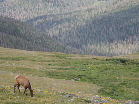 Rocky Mountain National Park