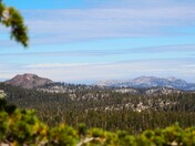 Sierra National Forrest