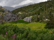 Klondike Gold Rush National Historical Park