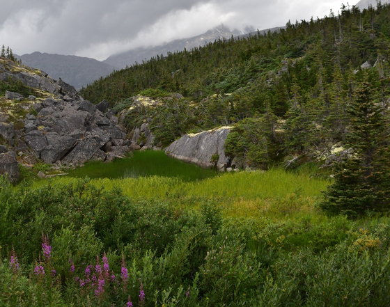 Klondike Gold Rush National Historical Park