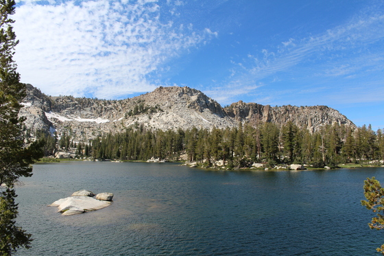 Sierra National Forrest