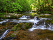 Great Smoky Mountains National Park