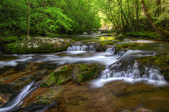 Great Smoky Mountains National Park