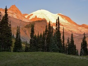 Mt Rainier National Park