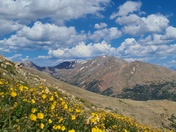 San Isabel National Forest