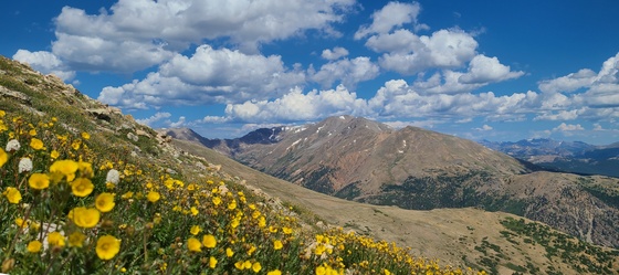 San Isabel National Forest